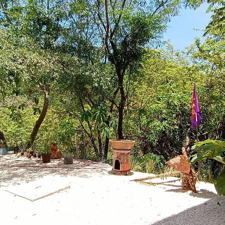 Laurel Jungle & Ocean Villa Playa Santa Teresa  Dış mekan fotoğraf