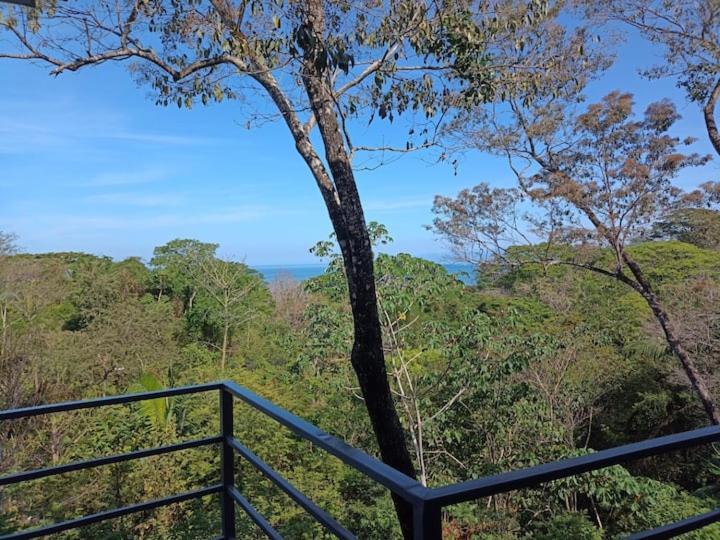 Laurel Jungle & Ocean Villa Playa Santa Teresa  Dış mekan fotoğraf