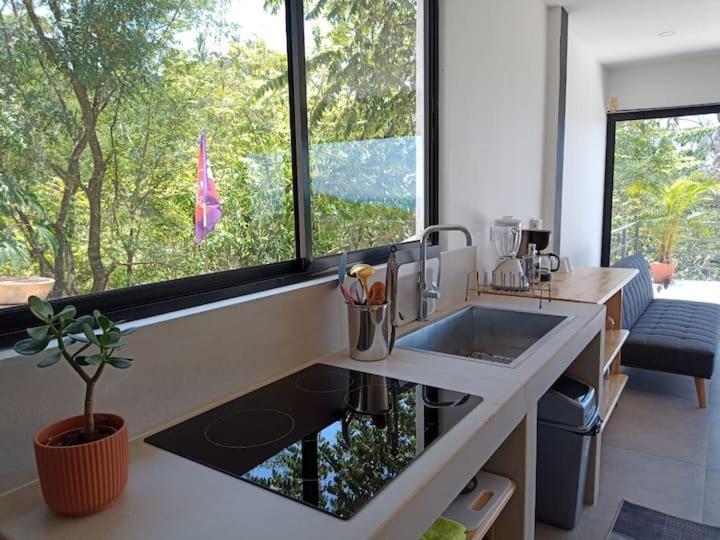 Laurel Jungle & Ocean Villa Playa Santa Teresa  Dış mekan fotoğraf