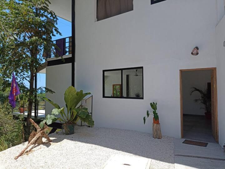 Laurel Jungle & Ocean Villa Playa Santa Teresa  Dış mekan fotoğraf