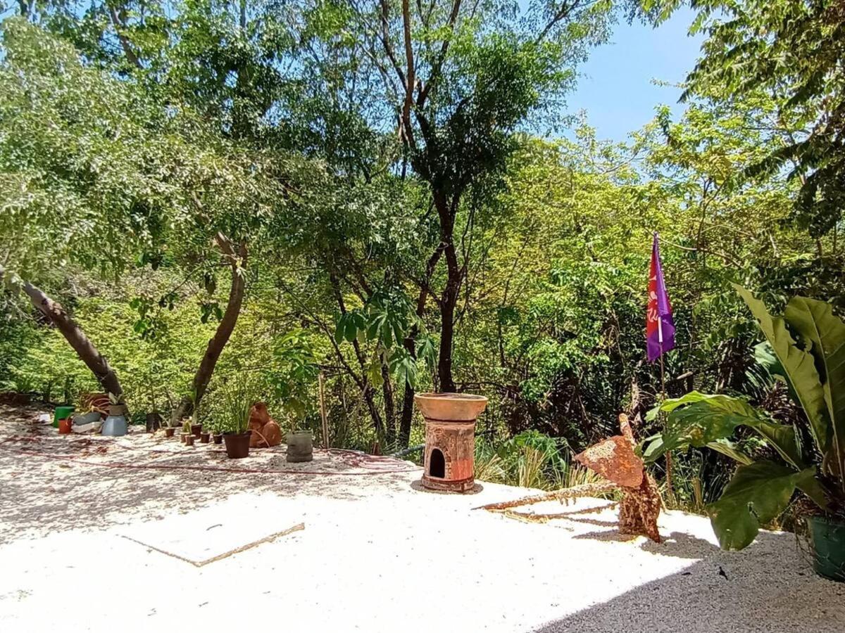 Laurel Jungle & Ocean Villa Playa Santa Teresa  Dış mekan fotoğraf